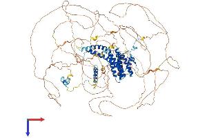 AlphaFold protein structure predicition of Human Recombinant AFF4 Protein, UniprotID Q9UHB7