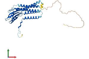 AlphaFold protein structure predicition of Human Recombinant DUOXA1 Protein, UniprotID Q1HG43