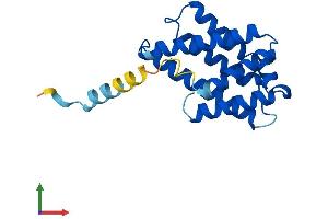 AlphaFold protein structure predicition of Human Recombinant TNFAIP8L2 Protein, UniprotID Q6P589