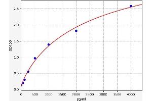 Cathepsin L1 (CTSL1) ELISA Kit