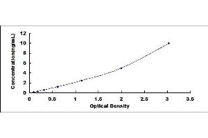Interferon Regulatory Factor 3 (IRF3) ELISA Kit