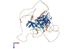 AlphaFold protein structure predicition of Human Recombinant LIPE Protein, UniprotID Q05469