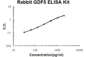 Rabbit GDF5 PicoKine ELISA Kit standard curve (GDF5 Kit ELISA)