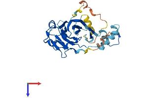 AlphaFold protein structure predicition of Human Recombinant NEURL2 Protein, UniprotID Q9BR09