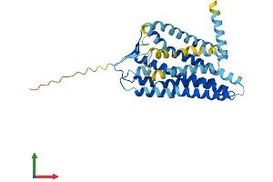 AlphaFold protein structure predicition of Human Recombinant OR56B1 Protein, UniprotID Q8NGI3