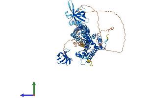 AlphaFold protein structure predicition of Mouse Recombinant Arhgap26 Protein, UniprotID Q6ZQ82