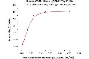 Immobilized Human CD30, Llama IgG2b Fc Tag, low endotoxin (ABIN5954943,ABIN6253596) at 0. (TNFRSF8 Protein (AA 19-379) (Fc Tag))