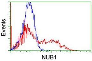 Image no. 4 for anti-Negative Regulator of Ubiquitin-Like Proteins 1 (NUB1) (AA 1-326) antibody (ABIN1490744) (NUB1 anticorps  (AA 1-326))