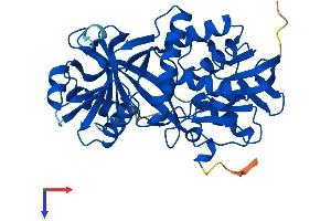 AlphaFold protein structure predicition of Mouse Recombinant Pipox Protein, UniprotID Q9D826