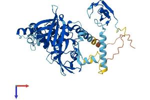 AlphaFold protein structure predicition of Human Recombinant MYLIP Protein, UniprotID Q8WY64