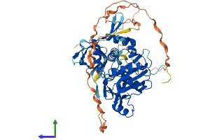 AlphaFold protein structure predicition of Human Recombinant KAT5 Protein, UniprotID Q92993