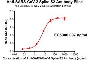 Elisa plate pre-coated by 2 μg/mL(100 μL/well) SARS-CoV-2 Spike S2 protein can bind Rabbit Anti-SARS-CoV-2 Spike S2 monoclonal antibody (clone:DM40) in a linear range of 0. (SARS-CoV-2 Spike anticorps)