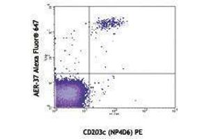 Flow Cytometry (FACS) image for anti-Fc Fragment of IgE Receptor Ia (FCER1A) antibody (Alexa Fluor 647) (ABIN2657890)