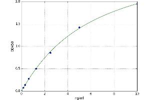 Apoptosis-Inducing Factor, Mitochondrion-Associated, 1 (AIFM1) ELISA Kit