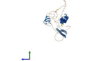 AlphaFold protein structure predicition of Mouse Recombinant Fnbp1 Protein, UniprotID Q80TY0