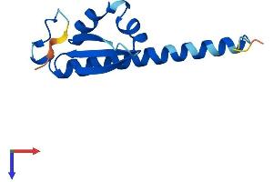 AlphaFold protein structure predicition of Human Recombinant DPPA5 Protein, UniprotID A6NC42