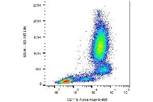 Surface staining of human peripheral blood with anti-CD11b (ICRF44) Alexa Fluor® 488.