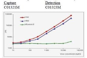 Calibration curve for Influenza A NP immunodetection in sandwich fluoroimmunoassay. (Influenza Nucleoprotein anticorps (Influenza A Virus H1N1))