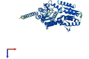 AlphaFold protein structure predicition of Mouse Recombinant Alg11 Protein, UniprotID Q3TZM9