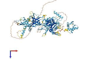 AlphaFold protein structure predicition of Human Recombinant MCM8 Protein, UniprotID Q9UJA3