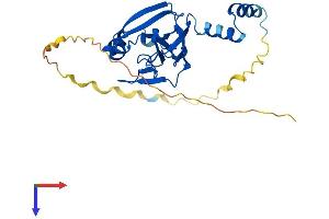 AlphaFold protein structure predicition of Mouse Recombinant Cenpv Protein, UniprotID Q9CXS4