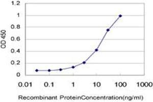Detection limit for recombinant GST tagged RASEF is approximately 0.