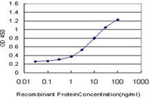 Detection limit for recombinant GST tagged NMI is approximately 0. (NMI anticorps  (AA 1-100))
