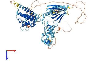 AlphaFold protein structure predicition of Human Recombinant EPS8L3 Protein, UniprotID Q8TE67