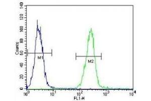 AARS2 antibody flow cytometric analysis of K562 cells (right histogram) compared to a negative control cell (left histogram).