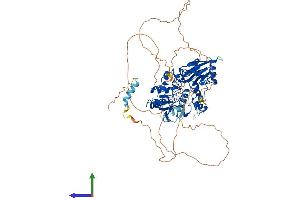AlphaFold protein structure predicition of Human Recombinant DCLRE1C Protein, UniprotID Q96SD1