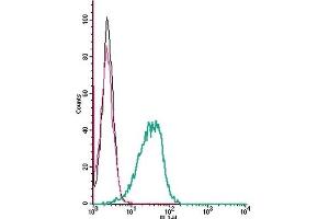Cell surface detection of D5 dopamine receptor by indirect flow cytometry in live intact mouse J774 macrophage cells: (black line) Cells.