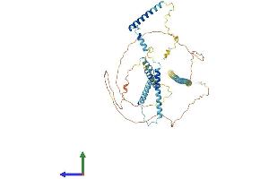 AlphaFold protein structure predicition of Mouse Recombinant Nsrp1 Protein, UniprotID Q5NCR9