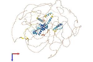 AlphaFold protein structure predicition of Mouse Recombinant Rbm20 Protein, UniprotID Q3UQS8