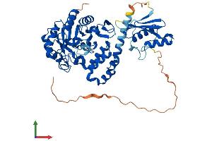 AlphaFold protein structure predicition of Human Recombinant DUS2 Protein, UniprotID Q9NX74