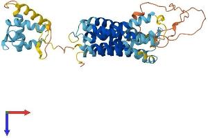 AlphaFold protein structure predicition of Human Recombinant SLC39A8 Protein, UniprotID Q9C0K1