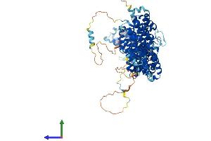 AlphaFold protein structure predicition of Human Recombinant TELO2 Protein, UniprotID Q9Y4R8