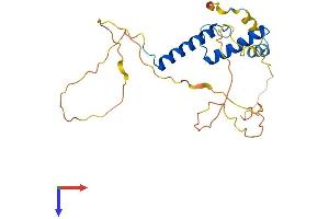 AlphaFold protein structure predicition of Mouse Recombinant Mesp1 Protein, UniprotID P97309