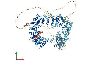 AlphaFold protein structure predicition of Mouse Recombinant Ap4e1 Protein, UniprotID Q80V94