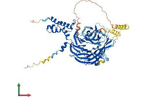 AlphaFold protein structure predicition of Mouse Recombinant Fbxw5 Protein, UniprotID Q9QXW2