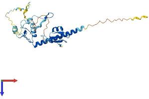 AlphaFold protein structure predicition of Mouse Recombinant Mbd3 Protein, UniprotID Q9Z2D8
