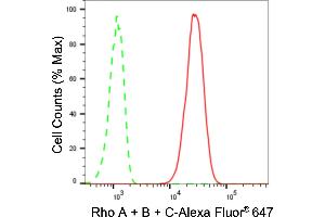 Flow cytometric analysis of Rho A + B + C expression in C2C12 cells using Rho A + B + C antibody (ABIN7800208), 1:2,000). (Recombinant RhoA,B,C anticorps)