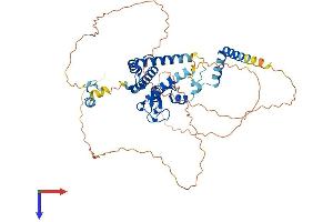 AlphaFold protein structure predicition of Mouse Recombinant Rad18 Protein, UniprotID Q9QXK2
