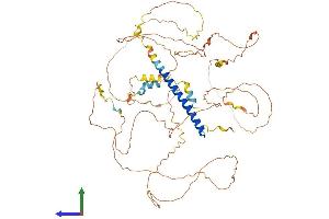 AlphaFold protein structure predicition of Human Recombinant CRTC3 Protein, UniprotID Q6UUV7