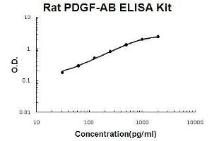 Rat PDGF-AB PicoKine ELISA Kit standard curve (PDGF-AB Heterodimer Kit ELISA)