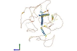 AlphaFold protein structure predicition of Human Recombinant TCF3 Protein, UniprotID P15923