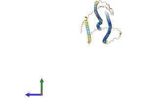 AlphaFold protein structure predicition of Human Recombinant INA Protein, UniprotID Q16352