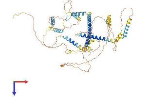 AlphaFold protein structure predicition of Human Recombinant FSIP1 Protein, UniprotID Q8NA03