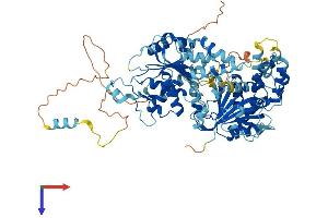 AlphaFold protein structure predicition of Human Recombinant RAD54L Protein, UniprotID Q92698