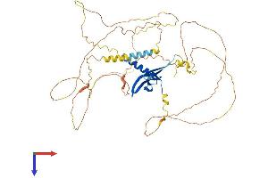 AlphaFold protein structure predicition of Human Recombinant CBX2 Protein, UniprotID Q14781