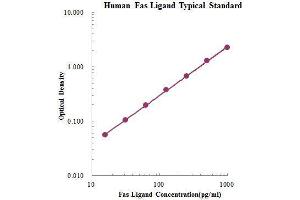ELISA image for Fas Ligand (TNF Superfamily, Member 6) (FASL) ELISA Kit (ABIN2681245)
